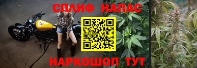 мяу мяу мука Пугачёв