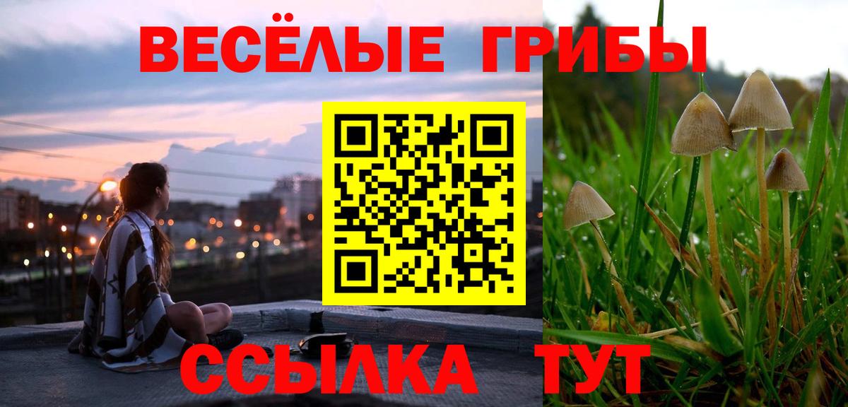 Псилоцибиновые грибы Psilocybine cubensis  продажа наркотиков  Волоколамск  Вход с VPN 